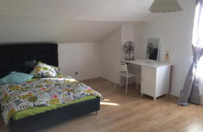 Très grande chambre privée en centre-ville